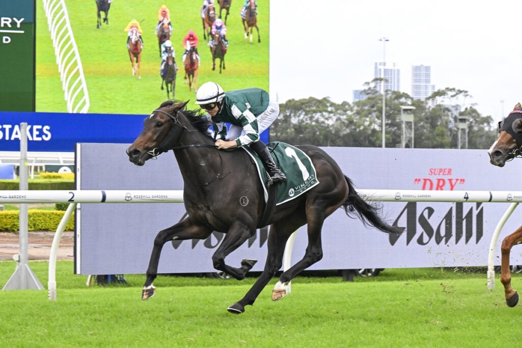 Vinery Stud Stakes 2025 – What the jockeys said