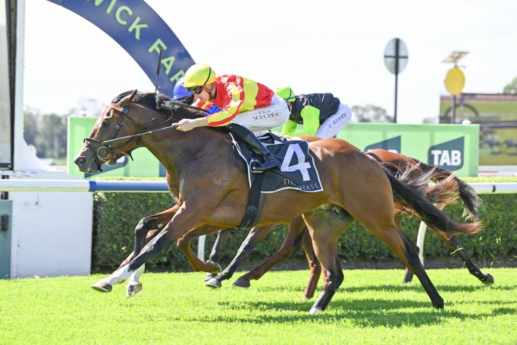 Ryan outlines stakes plans for Spectacular colt