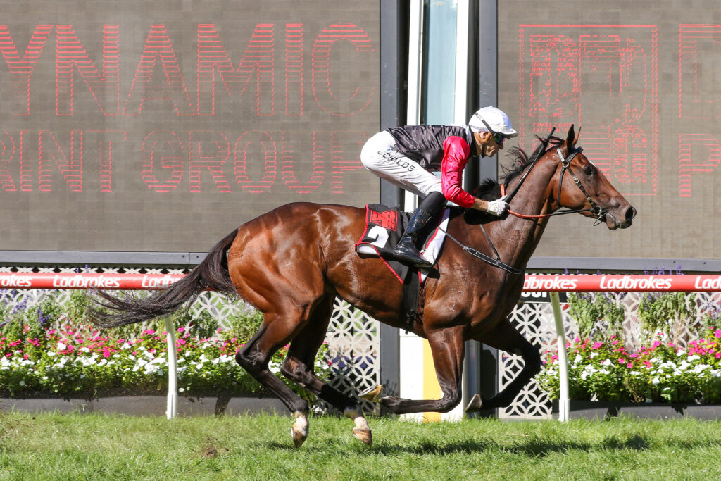 Cilacap takes tough route to Australasian Oaks