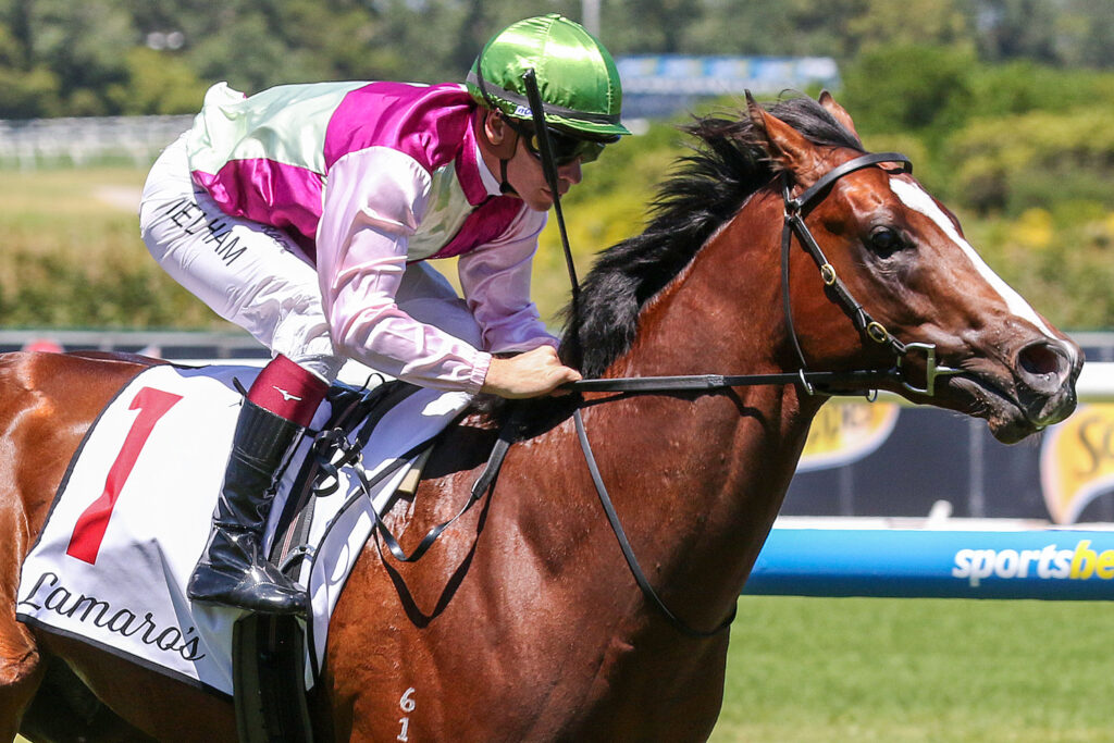Share in Golden Slipper runner-up for sale on Inglis Digital