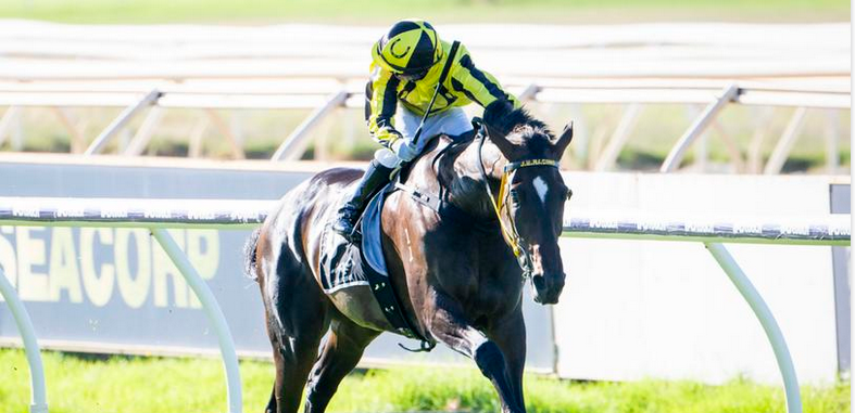 Ascot Recap: A new queen, a star returns, gun apprentice lands final blow